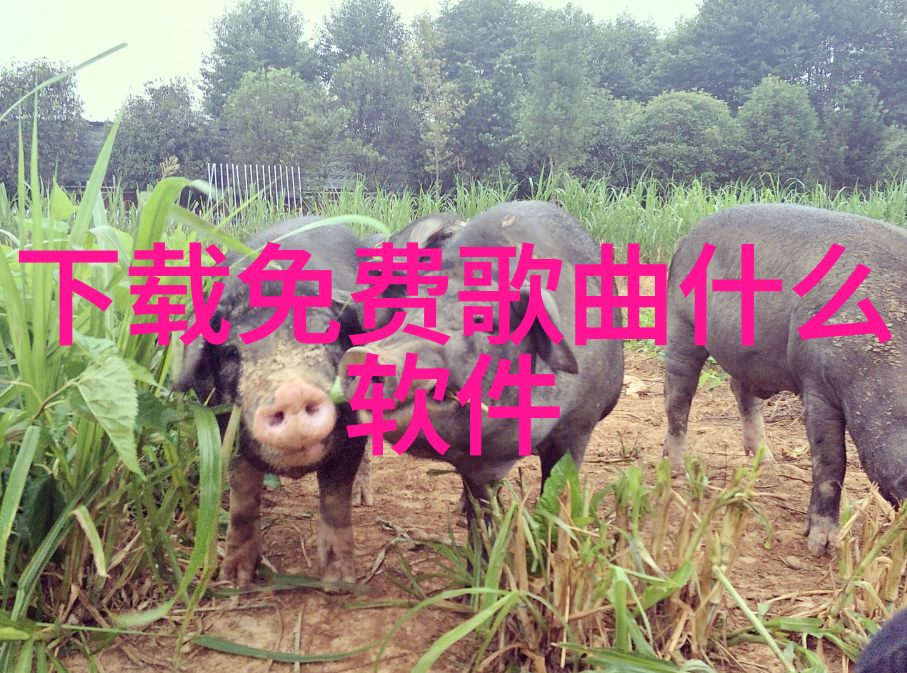 郑嘉颖欲公开与佘诗曼恋情 期望早日成家立室
