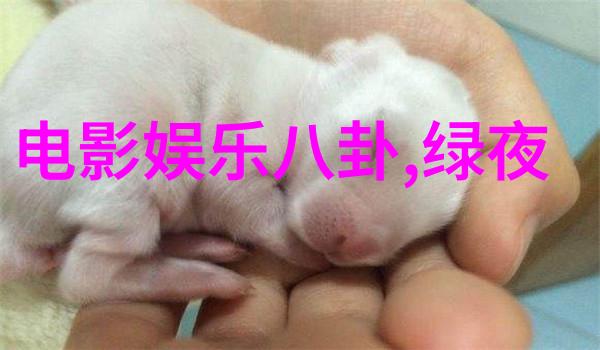 黄渤携手奶爸当家发年终奖李冰冰黄晓明转发盼拿奖