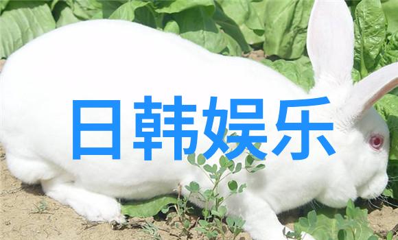 韩国歌手朴孝信被判赔偿原公司15亿韩元