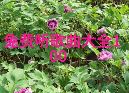 TOKYO MER隅田川mission4月16日播出 坂口健太郎将主演Dr Chocolate
