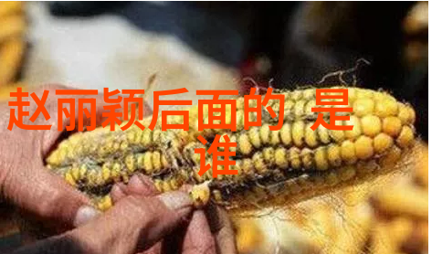黄河冰面打坐108分钟 铁腿哥打开2018开年第一善