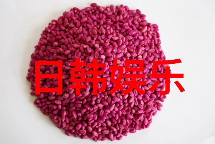 藤原纪香欢庆42岁生日晒沐浴照 称绝对不认输