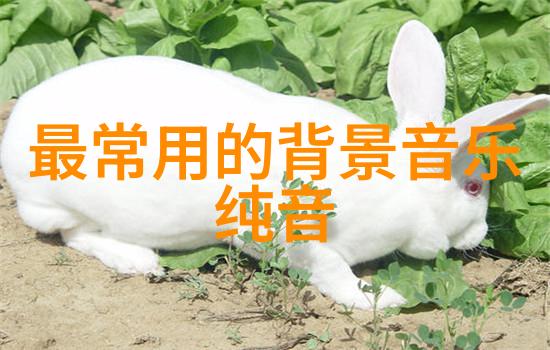 爹的由来爹的由来是什么意思