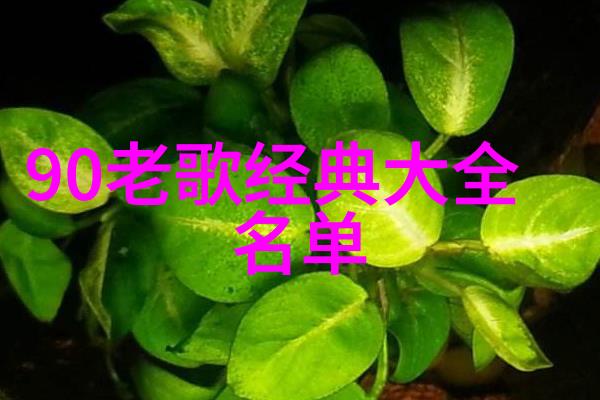 A-Lin北京夜店开唱 零点签售引爆全场