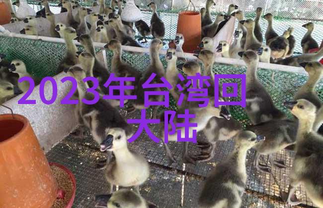 马思纯周一围玄彬米兰同框 俊男靓女超养眼