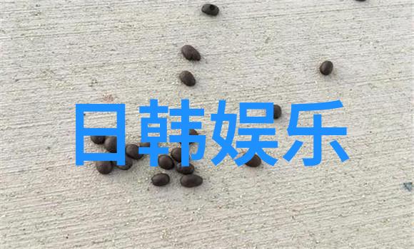 视频宫崎葵高冈苍甫曝婚变系因男小三
